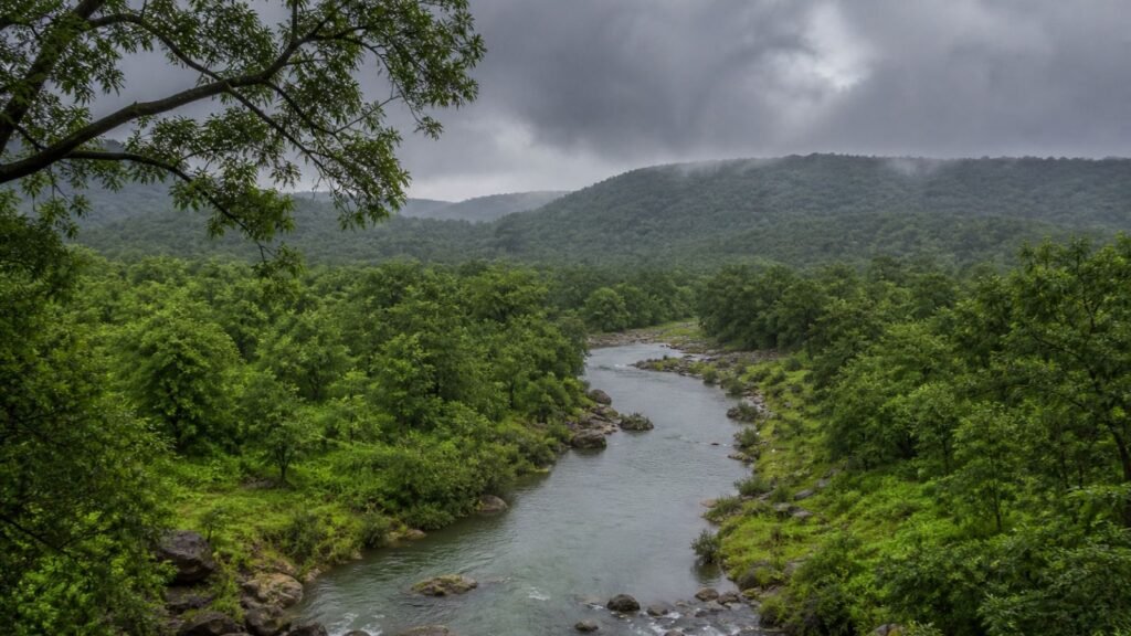 High-detail realistic image of Gir forest in Gujarat during rainfall showing dense green trees, flowing water, and a cloudy sky creating a scenic monsoon environment, no text, logos, or symbols (representative image).